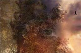 Era bonito de mais…