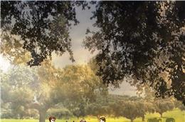 O cavalinho intrigante