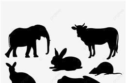 A origem dos mamíferos | Parte II