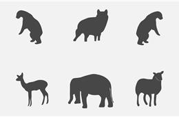 A origem dos mamíferos | Parte I