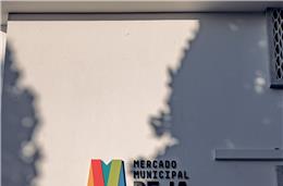 Assinados primeiros  16 contratos de exploração do mercado de Beja