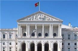 Um Programa de Governo: duas visões distintas