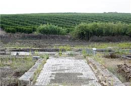 Guia compatibiliza património com agricultura