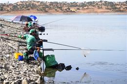 Barragem de Serpa recebe amanhã Campeonato Regional de Masters em Água Doce