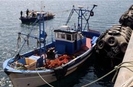 Sines: número de pescadores reduzido a um terço