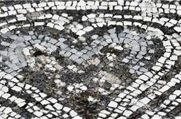 Ser Pacense! - Beja impôs-se pelo seu posicionamento