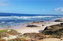 Praia naturista do Malhão inaugurada este fim de semana