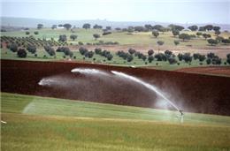 Plano de Regadio para 2030 ultrapassará os 2 mil ME
