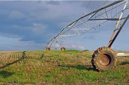 Agricultura: Projetos piloto para reutilizar água