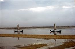 DA/Ciência com Impacto: Aumento de salinidade na Ria de Aveiro é consequência da intervenção humana