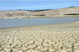 Reportagem no Monte da Rocha: “É o que há, terra descascada”