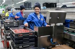 Pandemia abriu horizontes a empresa de Odemira