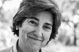 DA/Ciência com Impacto: Lei para defesa dos solos é urgente