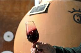 Vila Alva: Adegas preservam tradição do vinho de talha