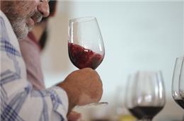 Vinhos: DOC e Indicação Geográfica. Unidade e diversidade do Alentejo