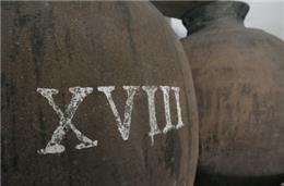 Crónica de Vanessa Schnitzer: 'O País engarrafado'