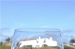 Seca preocupa os produtores de vinho do Alentejo