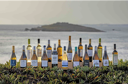 Arinto: Frescura atlântica no Alentejo