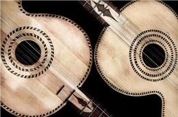 I concurso de poesia popular subordinado à viola campaniça