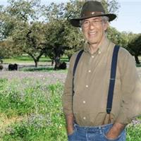 A ditadura da felicidade