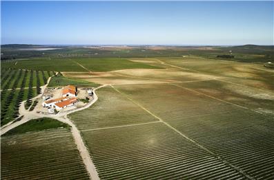 Pias reclama a sua origem através do “Talhão 01”