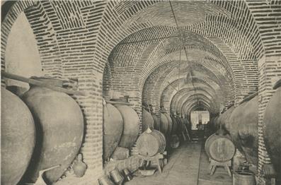 A História do Vinho no Baixo Alentejo [PARTE IV] | Vinha, técnicas, paisagem e mercados no Baixo Alentejo, 1800-1886