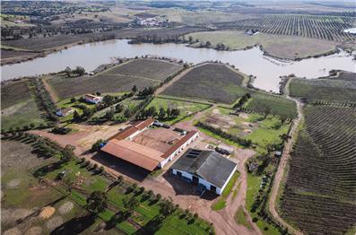Herdade dos Lagos: um ecossistema regenerado que dá origem a vinhos de identidade