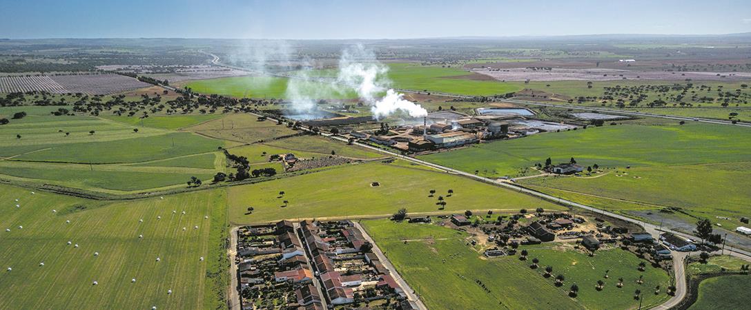 Cheiro a azeite chegou a Lisboa e causa protestos em Ferreira do Alentejo