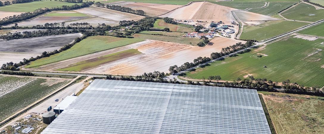 Campanha de rega do Mira com mais disponibilidade de água em 2026