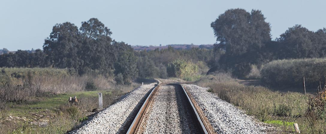 IP preocupada com redução da dotação inicial para a linha do Alentejo