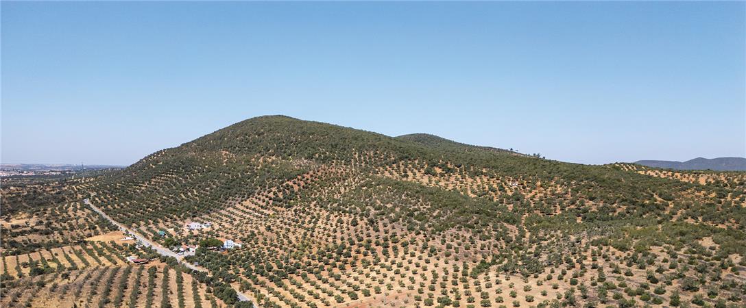 POR TERRAS DA RAIA | Vila Verde de Ficalho | Rosal De La Frontera