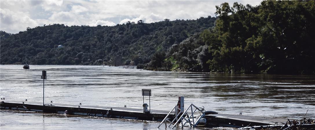 Prejuízos no distrito de Beja decorrentes do mau tempo rondam os 75 milhões