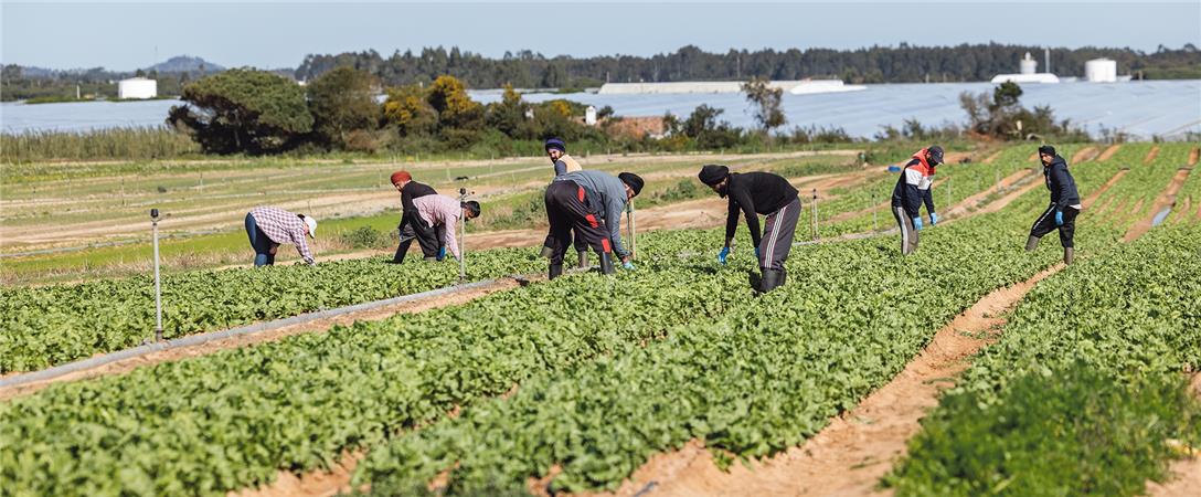 Solim considera imprescindível investigar e culpabilizar proprietários das herdades