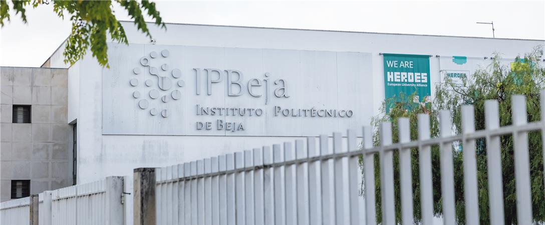 Universidade Politécnica de Beja: 325 colocados na 1.ª fase de acesso