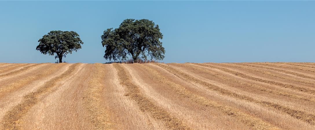 Unir concelhos do Baixo Alentejo e Litoral seria “corrigir um erro histórico”