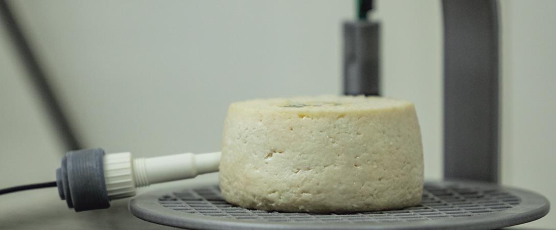 Inteligência artificial na produção do queijo Serpa