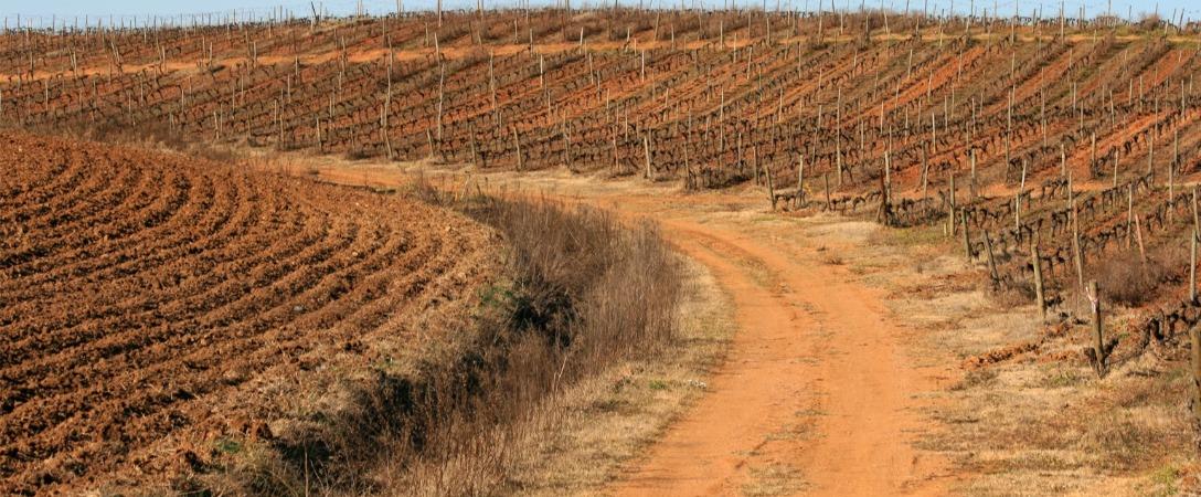 Seca preocupa agricultores do Guadiana