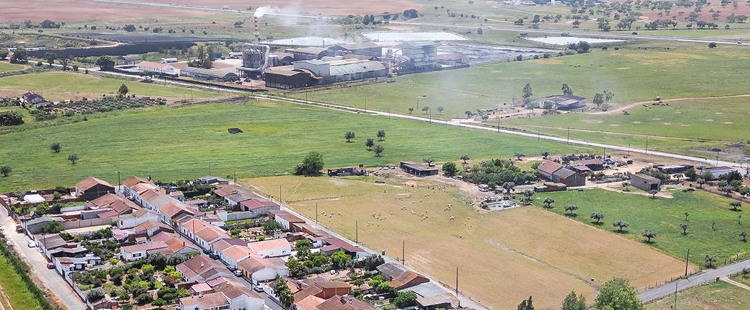 Ministra do Ambiente pede averiguação à fábrica de bagaço de azeitona de Fortes