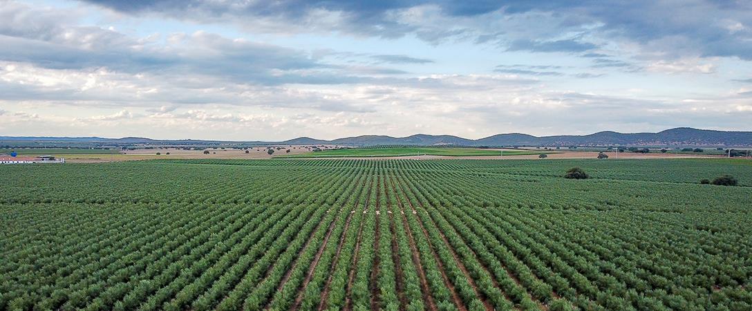 Alqueva: agente de mudança da região com forte contributo para a economia nacional