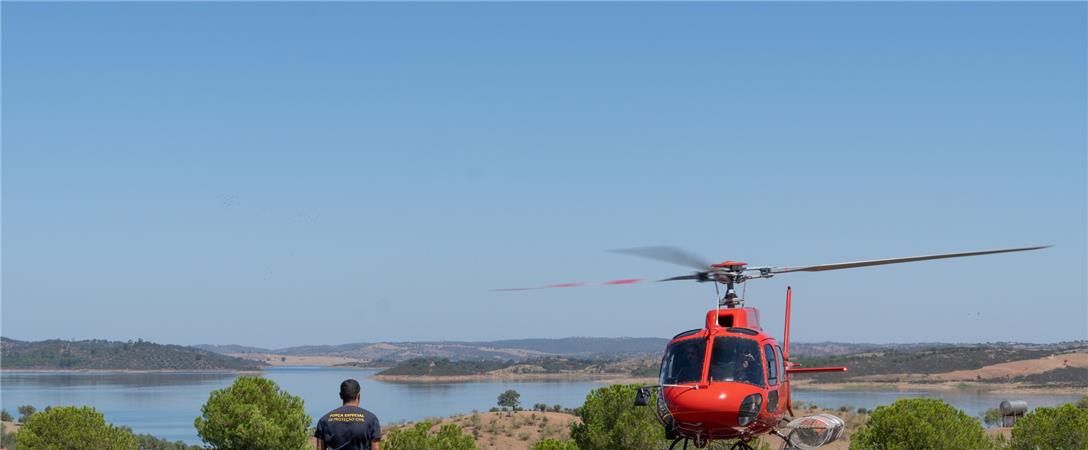 Meios aéreos de combate aos incêndios: PS e PSD continuam a trocar acusações