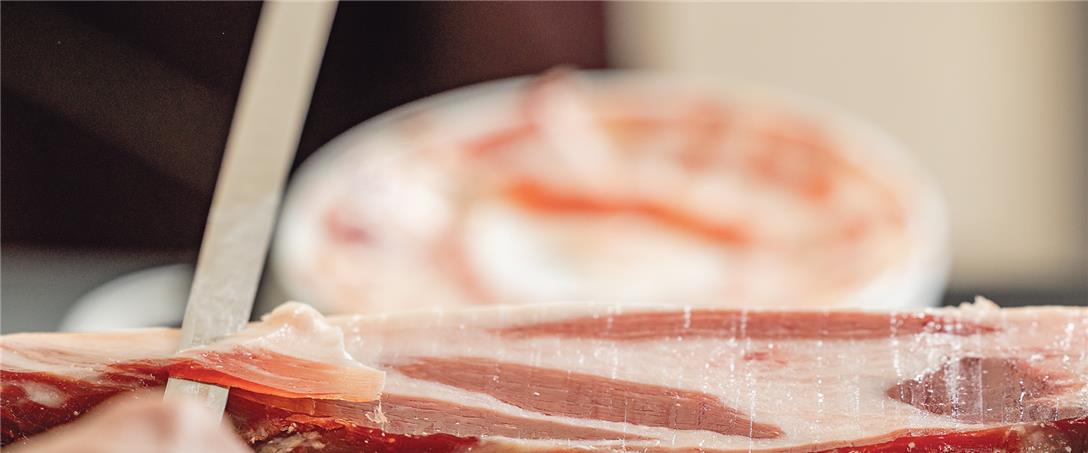 Foto | Ricardo Zambujo