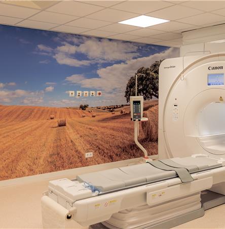 Foto | Ricardo Zambujo