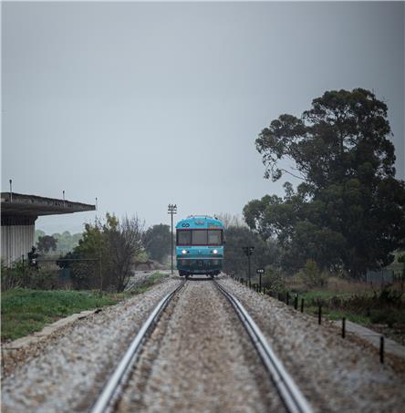 Foto| Ricardo Zambujo
