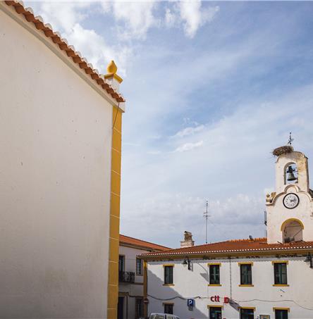 Foto | Ricardo Zambujo