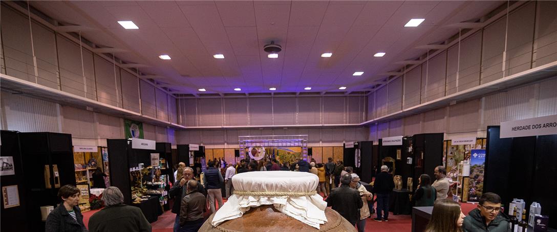 Foto | Ricardo Zambujo