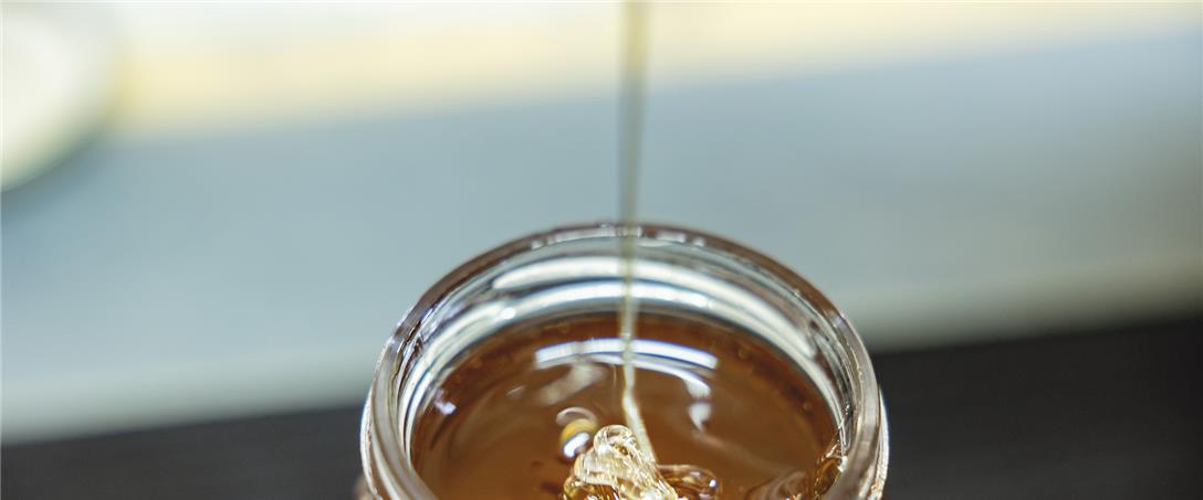 Foto | Ricardo Zambujo