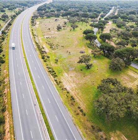 Foto | Ricardo Zambujo