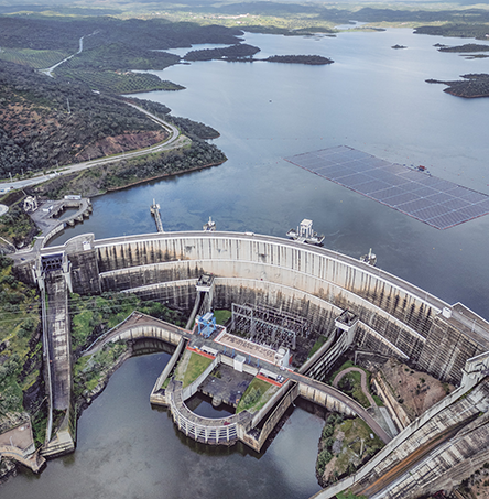 Foto | Ricardo Zambujo