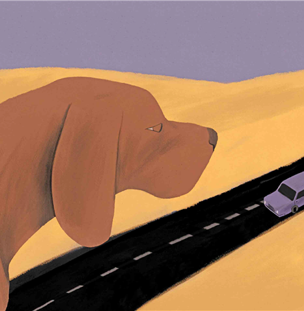 Ilustração | Susa Monteiro