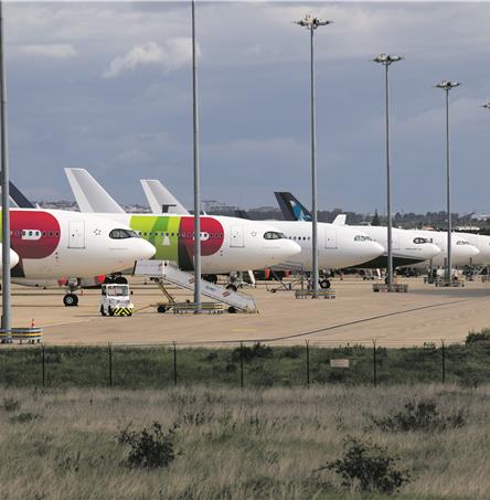 Foto | Ricardo Zambujo